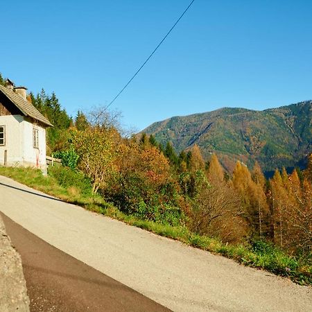 Romantische Ferienhütte Ennstaler Nat Kalkalpen bis 6 Personen Kleinreifling Exterior foto
